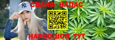 мдпв Рузаевка