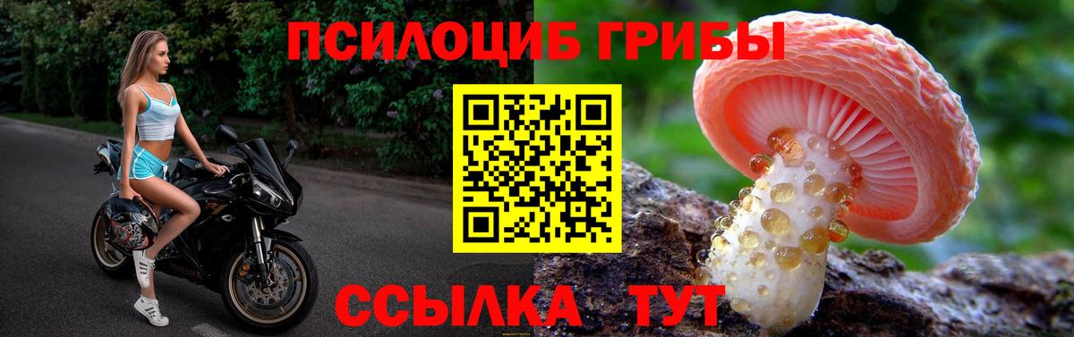 Галлюциногенные грибы прущие грибы Ростов-на-Дону