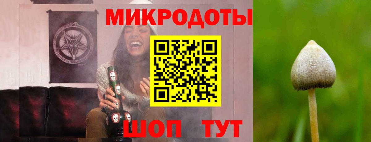 Галлюциногенные грибы Magic Shrooms  Вход с VPN  Псилоцибиновые грибы Psilocybe  Ростов-на-Дону 